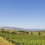 Quinta Da Barroca Douro Valley