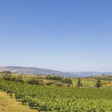 Quinta Da Barroca Douro Valley