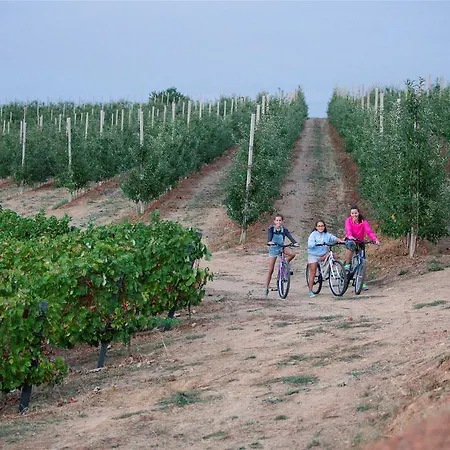 Quinta Da Barroca Douro Valley *