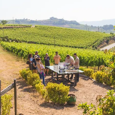 Quinta Da Barroca Douro Valley Séjour à la ferme *