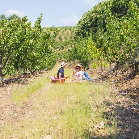 Quinta Da Barroca Douro Valley