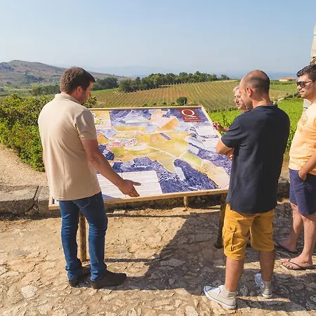 Alojamento de Turismo Rural Quinta Da Barroca Douro Valley Armamar