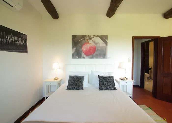 Quinta Da Barroca Douro Valley Farma Armamar