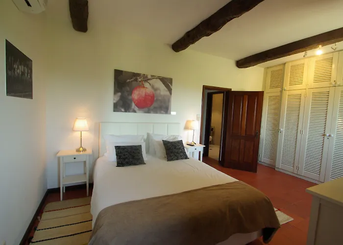 Quinta Da Barroca Douro Valley Séjour à la ferme Armamar