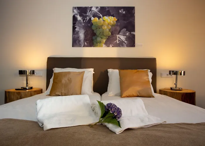 Quinta Da Barroca Douro Valley Séjour à la ferme *