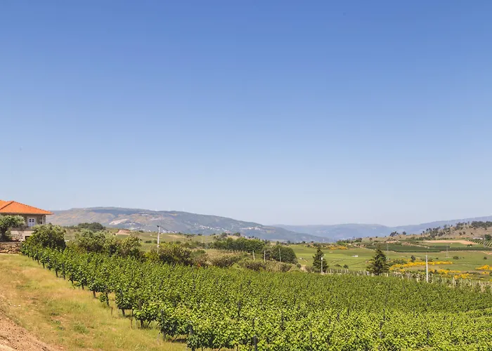 Quinta Da Barroca Douro Valley